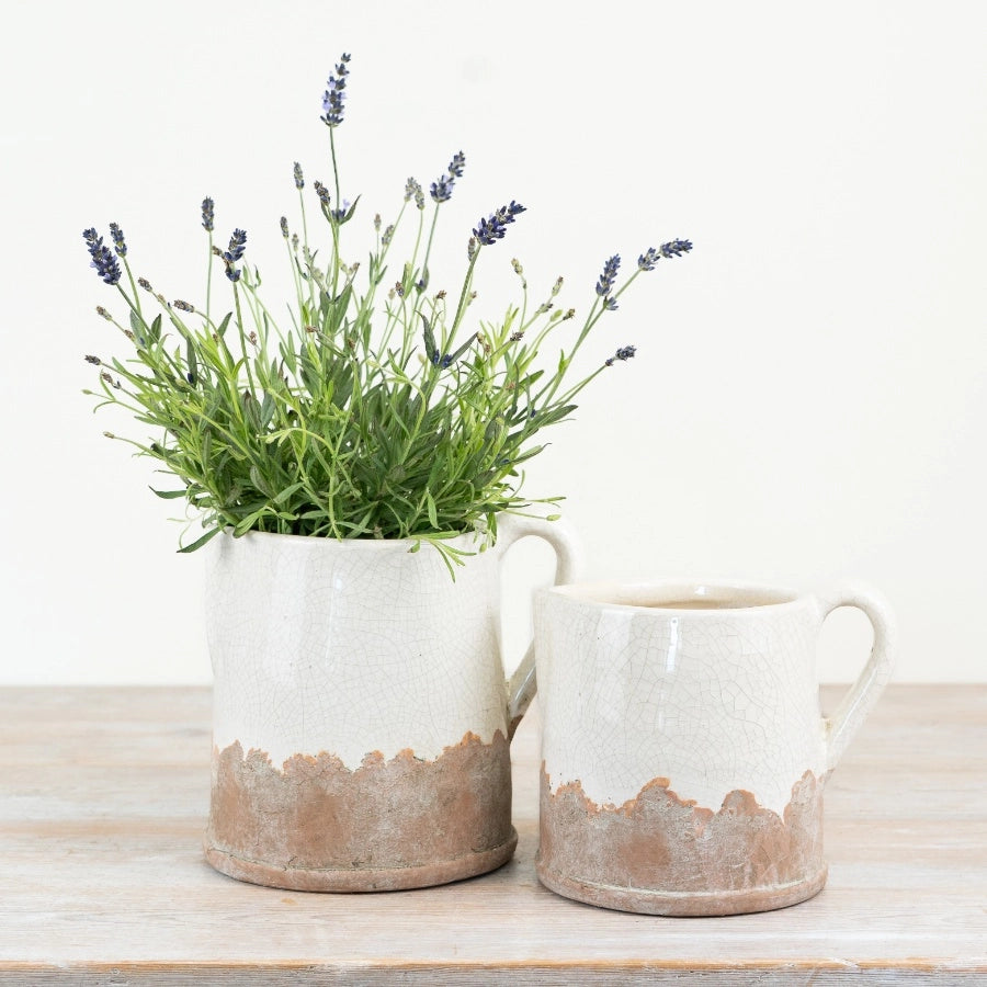 15.5cm Cream Crackle Glaze Jug Vases styled with lavender | MellowdaysFurniture