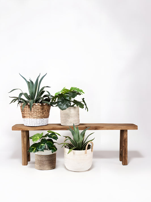 Capri Reclaimed Teakwood Dining Bench side view with plants decoration by Mellowdays Furniture