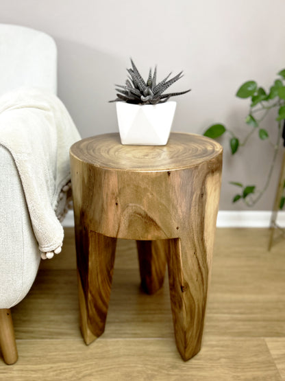 Ignacio Wooden Side Table in Solid Suar Wood Trunk Dia35xH50 front view by the sofa by Mellowdays Furniture