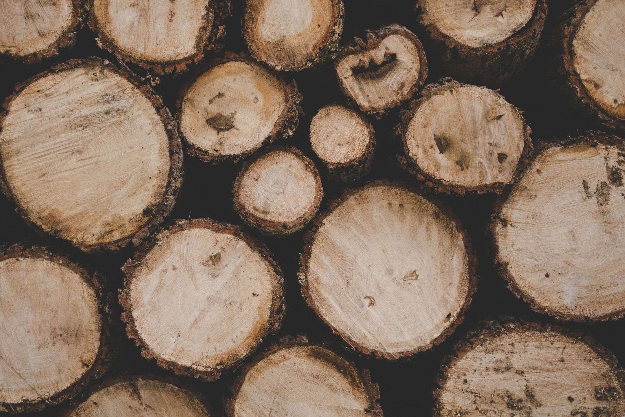 Our Solid Woods