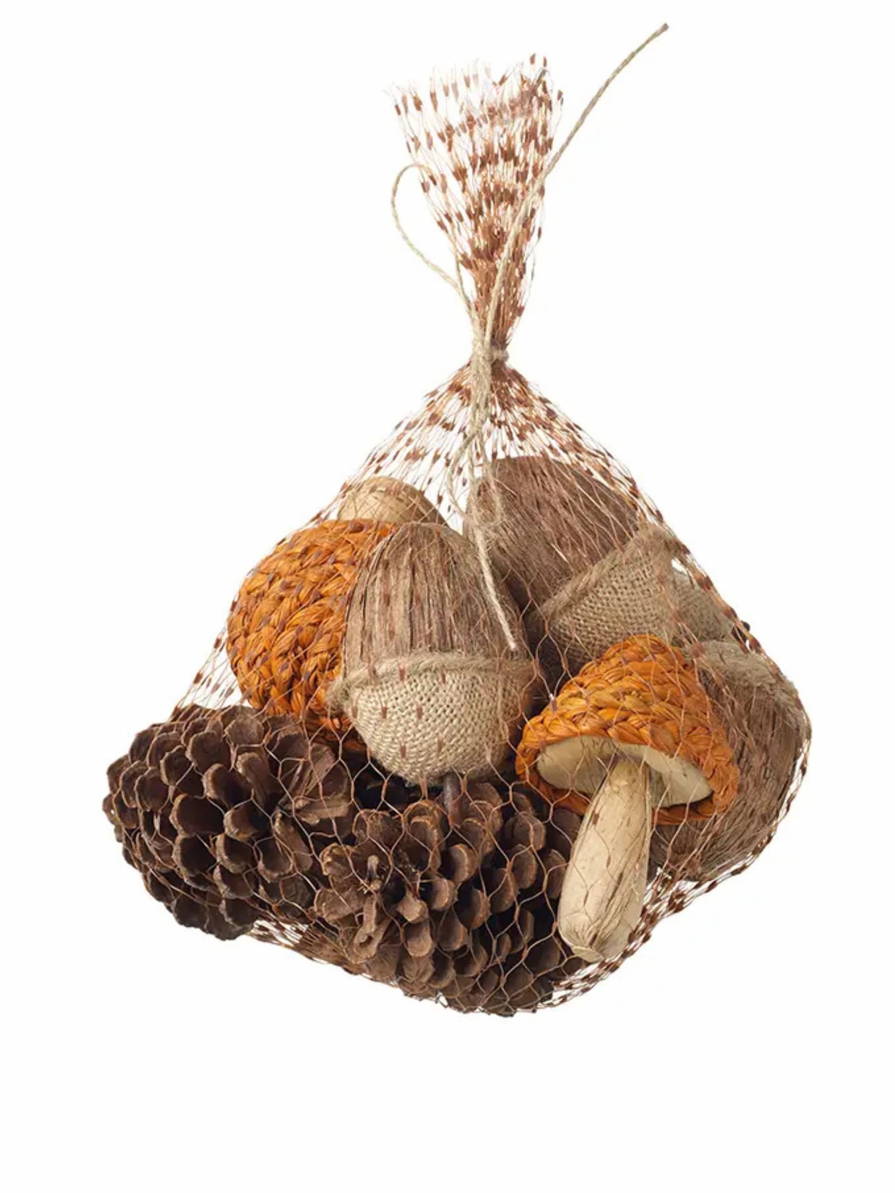 Acorn, Toadstool & Pine Cone Autumn Decor Set in Net Bag | Mellowdays Furniture