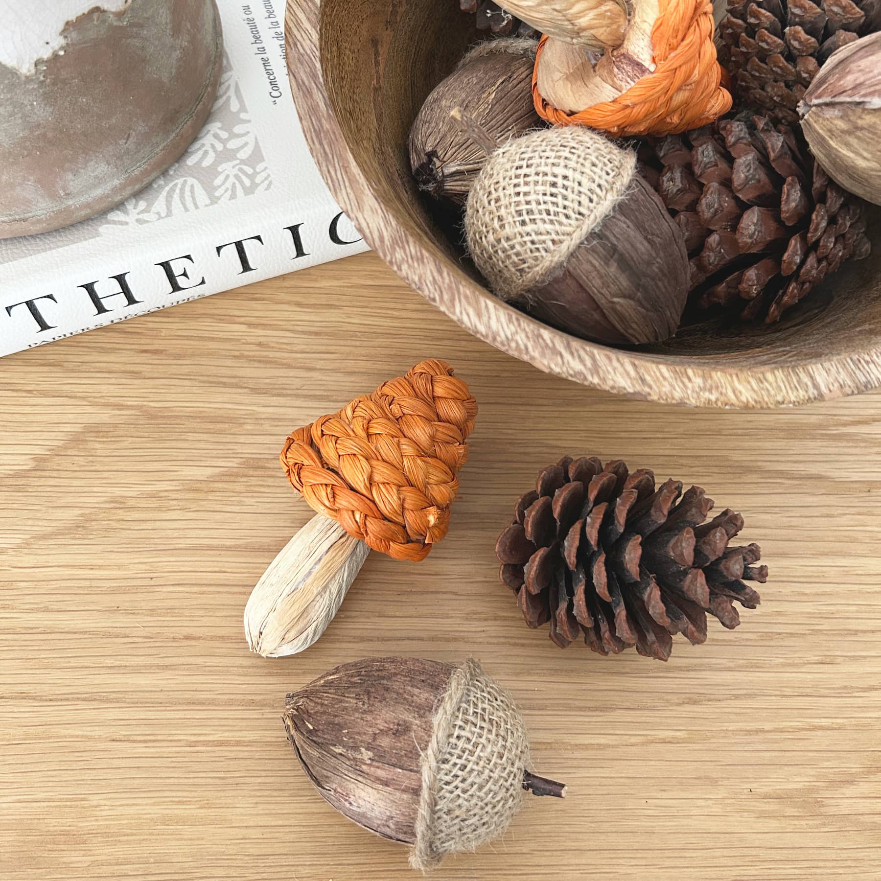 Acorn, Toadstool & Pine Cone Autumn Decor Set in Net Bag | Mellowdays Furniture
