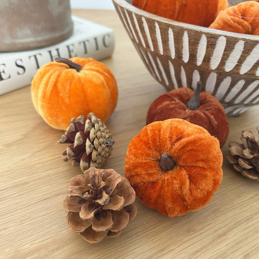 Velvet Pumpkin & Pine Cone Decorative Set | Mellowdays Furniture