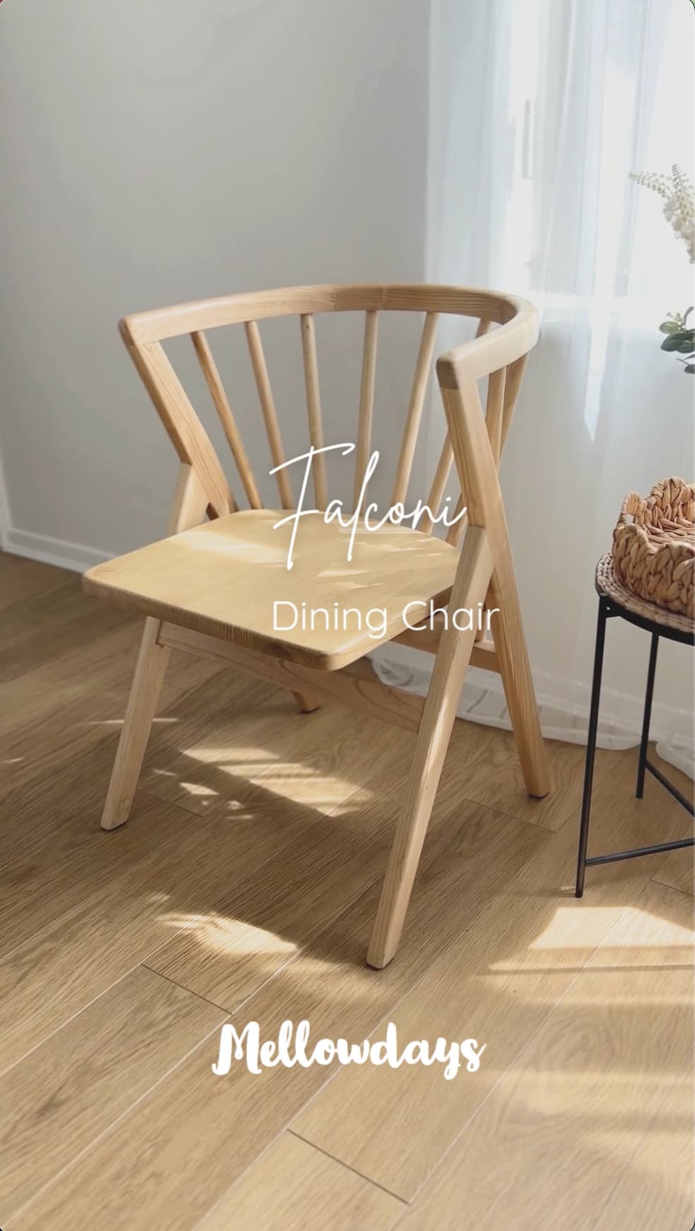 Video of Falconi Sungkai wood dining chair | Mellowdays Furniture