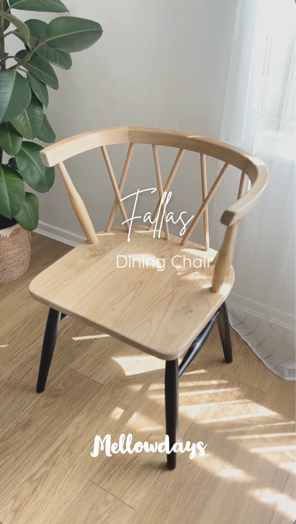 Video of Fallas wooden dining chair| Mellowdays Furniture